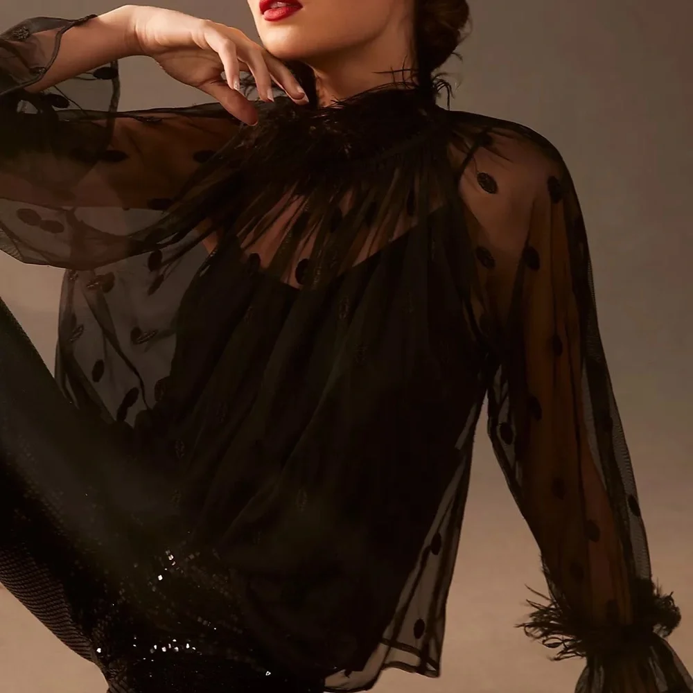 Anthropologie Rdalamal Black Ruffled Sheer Blouse Long Sleeve Feather Trim New M - Picture 12 of 13